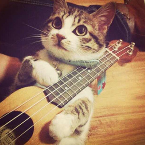 韩国美女奶头㊙️麻豆AV
